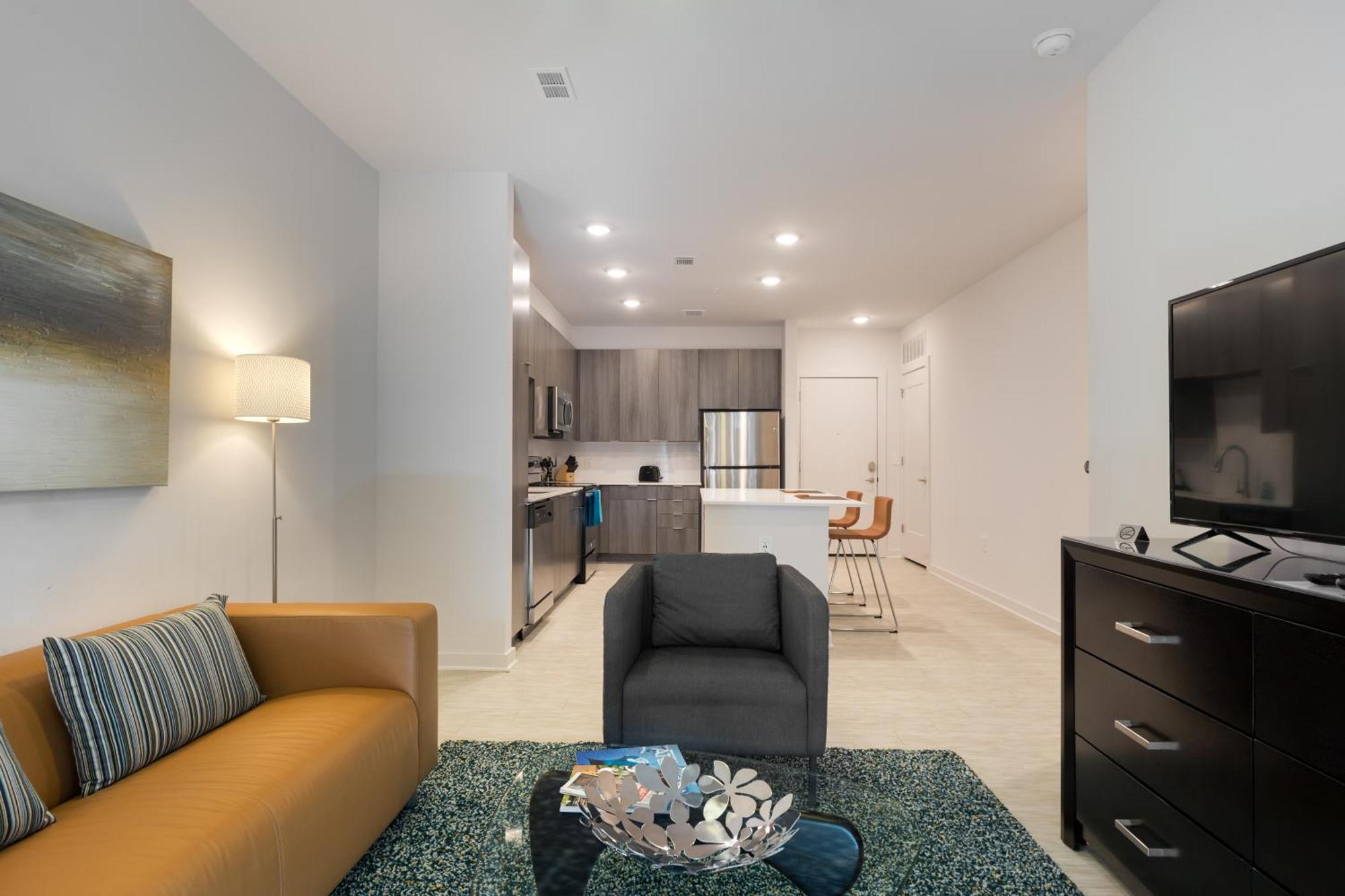 Spectacular Apartments By Bca Furnished Apartments Atlanta Rom bilde