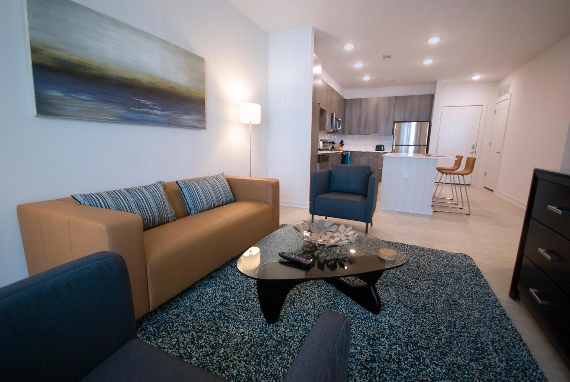 Spectacular Apartments By Bca Furnished Apartments Atlanta Rom bilde
