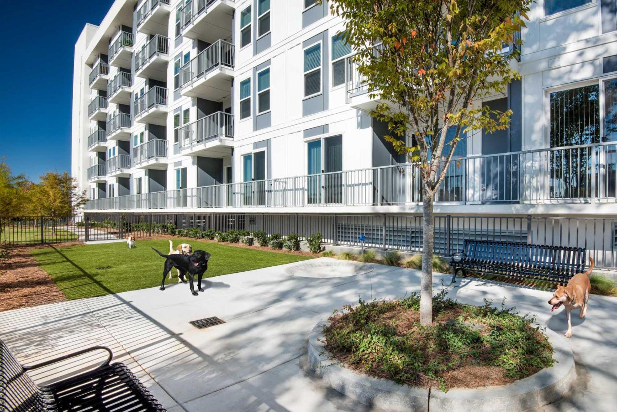 Spectacular Apartments By Bca Furnished Apartments Atlanta Rom bilde